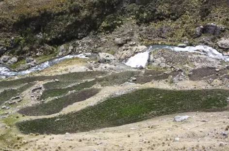 Cultures en terrasses près de Ruina Pampa