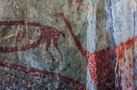 Les peintures rupestres de Cuchimachay - Pérou