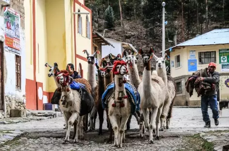 Trek dans les Cordillères Yauyos Pariacaca - Pérou