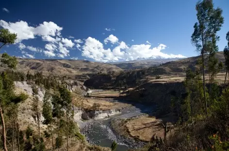 Terrasses cultivées, volcans enneigés et rivière Colca - Pérou - Pérou