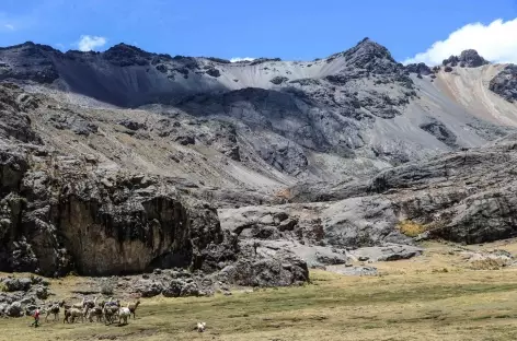 Trek dans les Cordillères Yauyos Pariacaca - Pérou