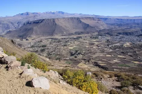 Vue sur le canyon de Colca depuis le col de Patapampa (4900 m) - Pérou