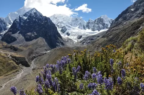 Vue depuis la lagune San Antonio - Pérou