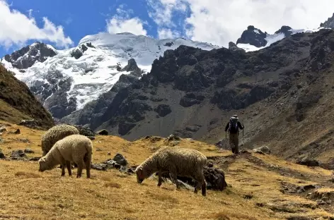 Montée face au Diablo Mudo - Cordillère Huayhuash - Pérou