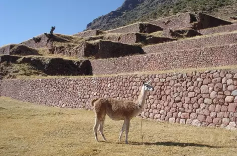 Trek > col de Pukamarca (4060 m) > Huchuy Qosqo > Lamay (2940 m). Route > Pisac (2980 m)