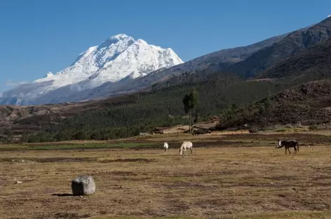 Huaraz > Honkopampa (3440 m), trek > Vallée d’Akilpo (4400 m)