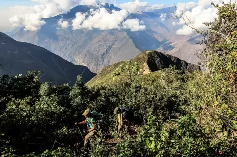 Montée au col Choquequirao (3290 m) - Pérou