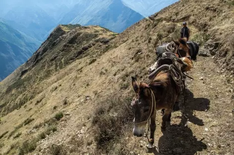 Descente vers le canyon de l'Apurimac - Pérou