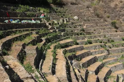 Entre Choquequirao, les belles terrasses de de Pinchahuniyoc - Pérou