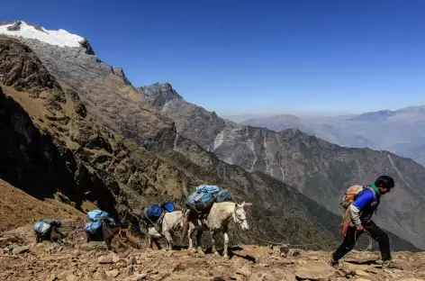 Arrivée au col San Juan (4120 m) - Pérou