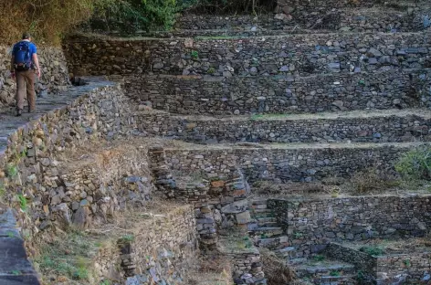 Les terrasses de Choquequirao - Pérou