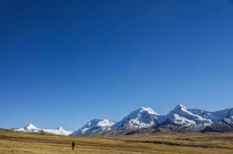 Grands espaces entre Phinaya et Ccascana - Pérou