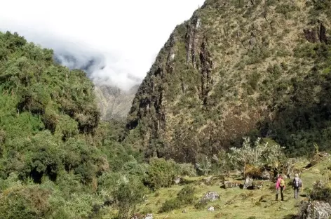 Trek > Yanatile (2060 m). Route > Santa Teresa (1550 m). Train > Aguas Calientes