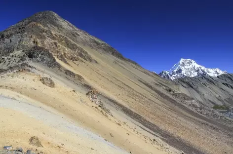 Vue sur l'Ausangate depuis le col sans nom dominant la lagune Armacocha - Pérou