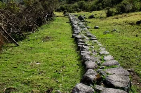 Chemin Inca lors du trek dans la Cordillère Vilcabamba - Pérou