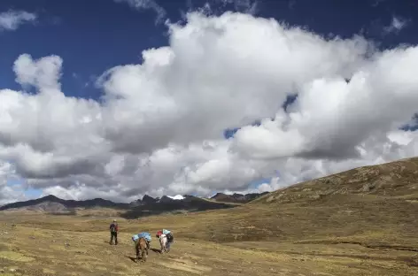 Dans les vastes pâturages vers l'Abra Chimboya - Pérou