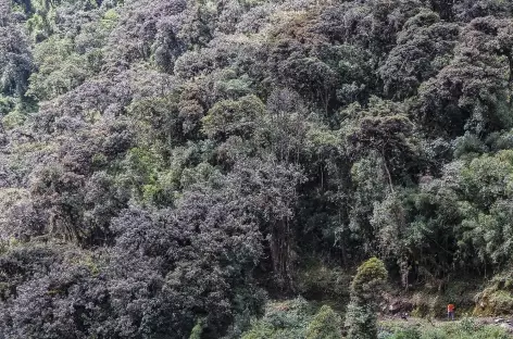 Dans la vallée de Yanatile - Pérou