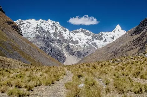 Marche face à l'Alpamayo - Pérou