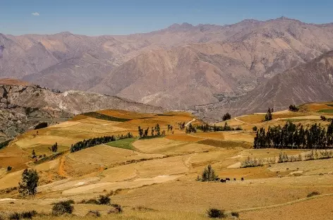 Cultures et Cordillère Noire à l'approche de Cashapampa - Pérou