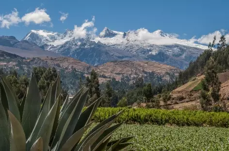 Entre Kekepampa et Copa Grande - Pérou