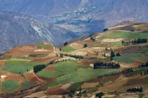 Entre Hualcayan et Wiscash - Pérou