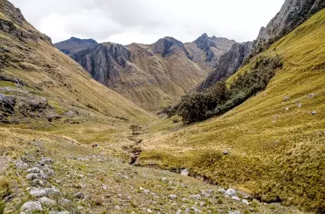 Entre le camp de base du Paso Bartolome et Chacas - Pérou