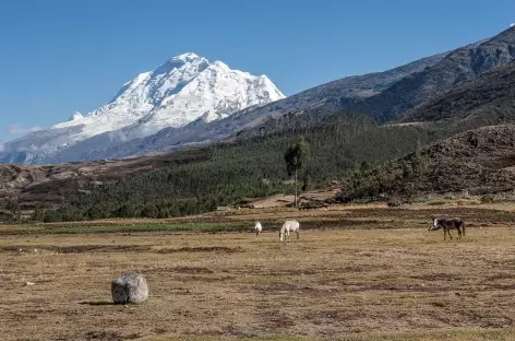 Entre Kekepampa et Copa Grande - Pérou