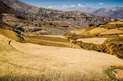 Cultures à l'approche de Cashapampa - Pérou