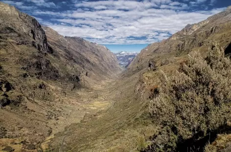 Vue sur la quebrado Honda - Pérou