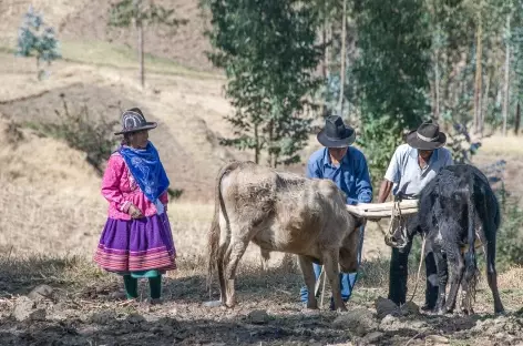 Entre Kekepampa et Copa Grande - Pérou