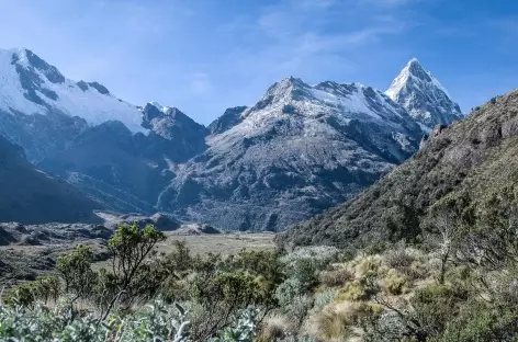 Entre Ocshapampa et Ichic Ulta - Pérou