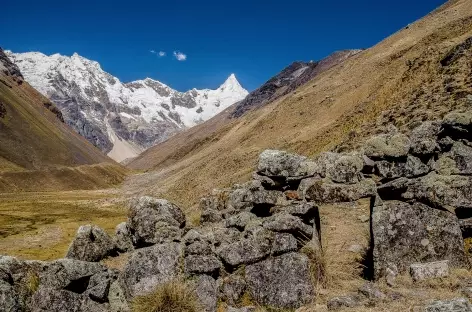 Marche face à l'Alpamayo - Pérou