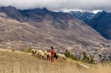Bergère entre Jiutush et Chacas - Pérou