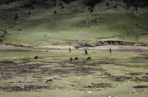 Bergère près de la lagune Huecrucocha - Pérou