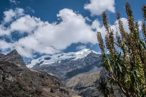 Entre Juitush et Rinconada - Pérou