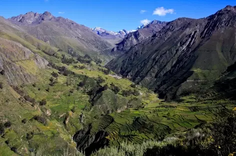 Vallée du rio Canete - Pérou