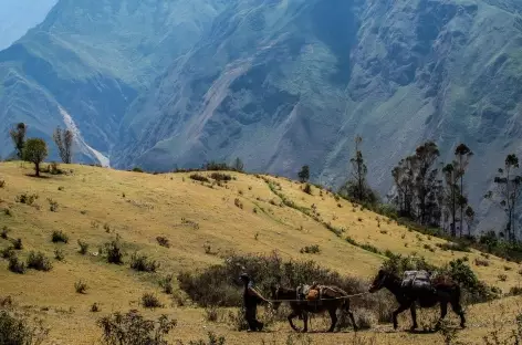 Début du trek au-dessus du canyon de l'Apurimac - Pérou