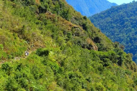 Marche vers Vista Alegre - Pérou