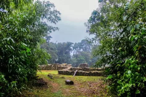 Le site Espiritu Pampa en pleine jungle tropicale - Pérou