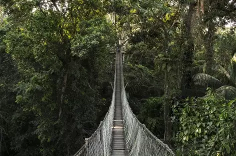 Pont suspendus, Pérou - 