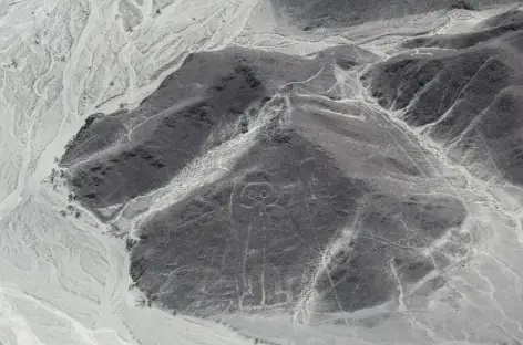 Vue sur les géoglyphes lors du survol des lignes de Nasca - Pérou