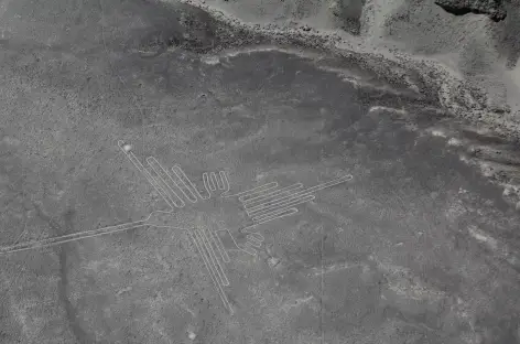 Vue sur les géoglyphes lors du survol des lignes de Nasca - Pérou