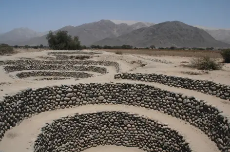 Nasca, aqueduc de Cantallo - Pérou
