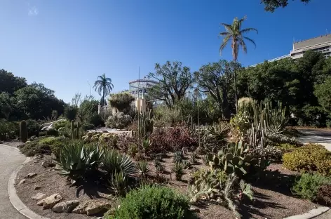 Adélaïde, jardin botanique - 