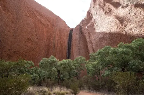 Uluru, sur le sentier qui en fait le tour
