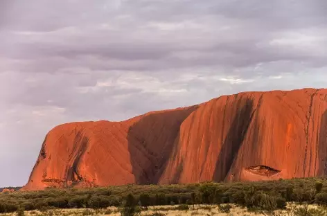 Uluru, lever du soleil