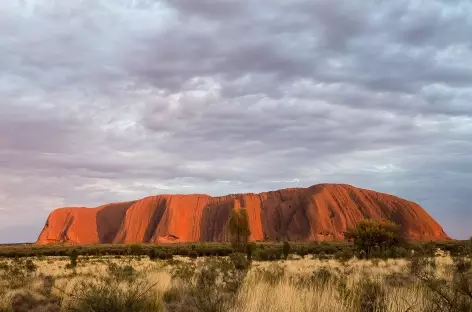 Uluru, lever du soleil