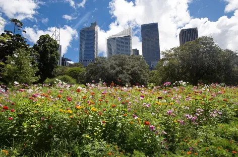 Jardin Botanique de Sydney