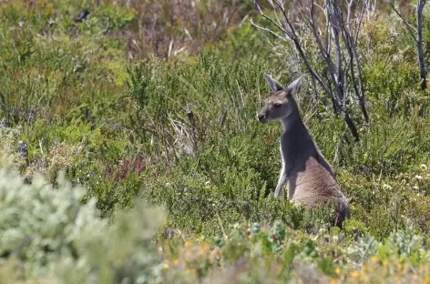 Surprise au détour du chemin