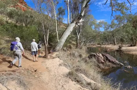 De Alice Springs à Kings Canyon